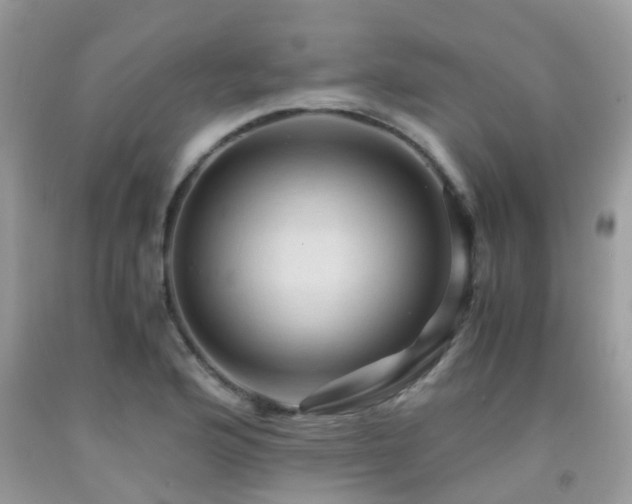X0000092001176200709061433