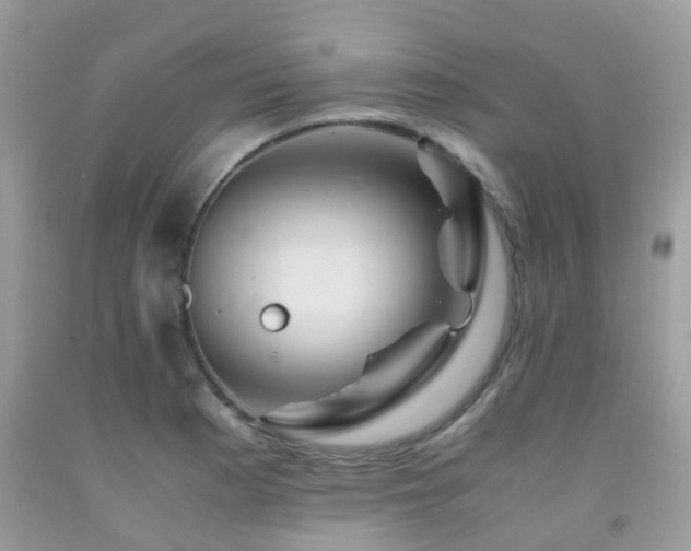 X0000092001177200709061433