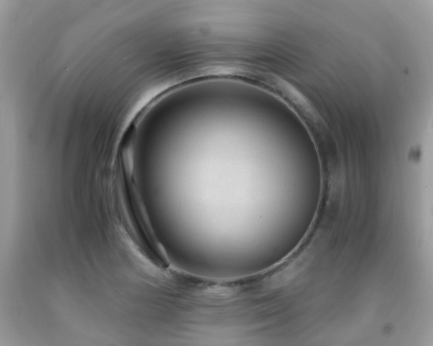 X0000092001178200709061433