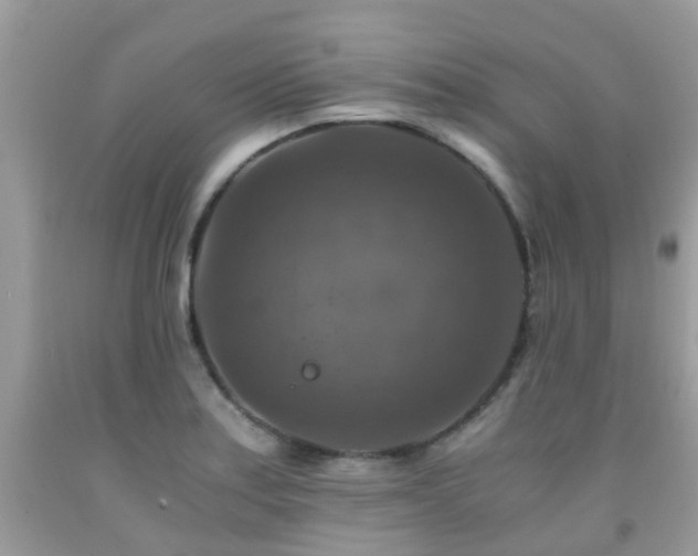 X0000092001179200709061433