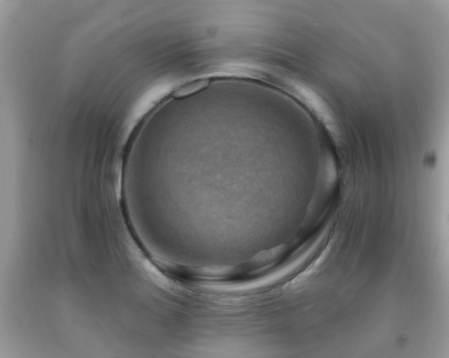 X0000092001180200709061433