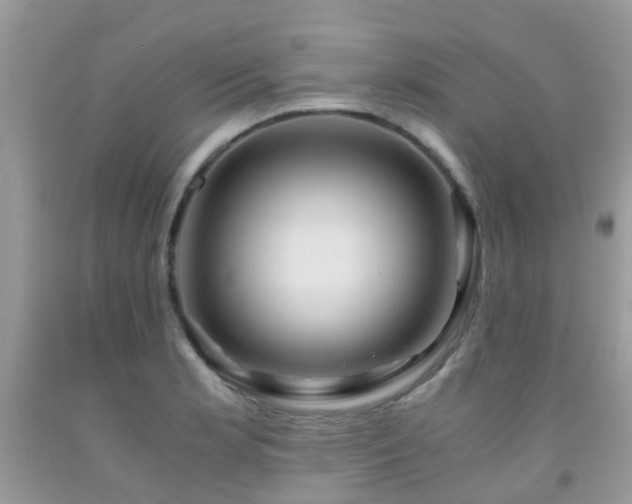 X0000092001181200709061433