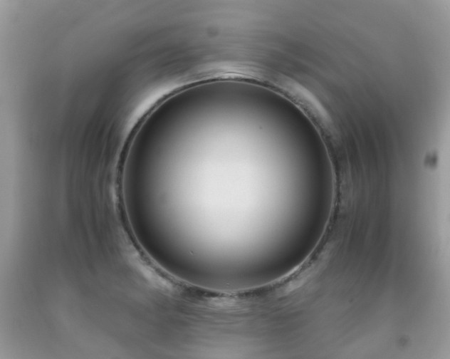 X0000092001182200709061433