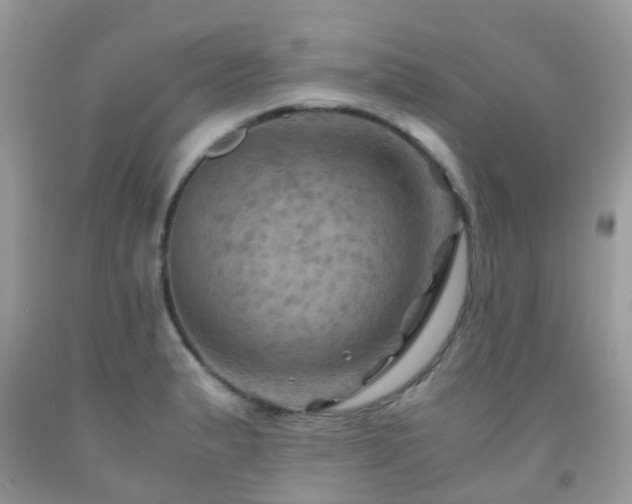 X0000092001183200709061433