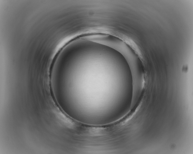 X0000092001184200709061433