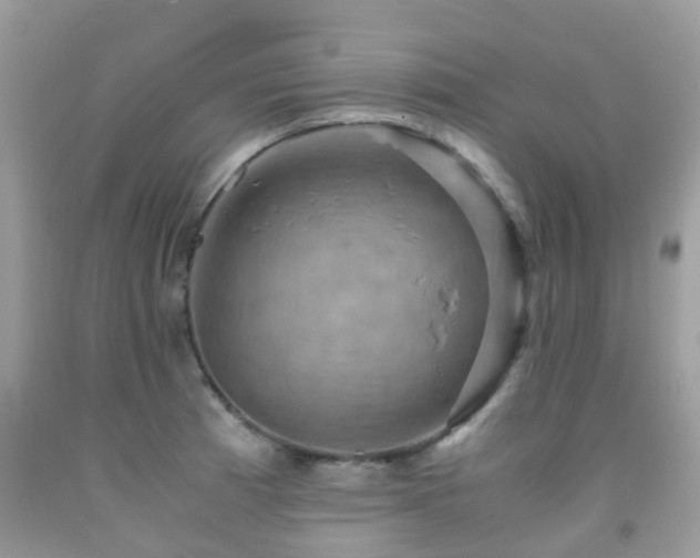 X0000092001185200709061433