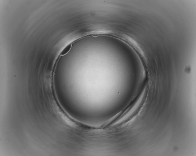 X0000092001186200709061433