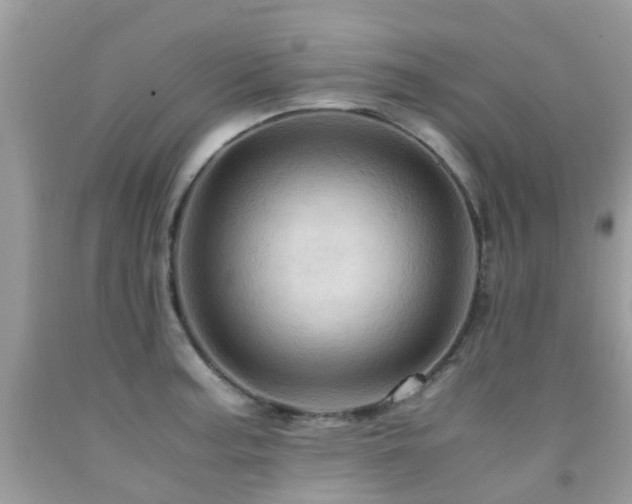 X0000092001187200709061432