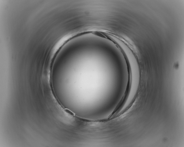 X0000092001188200709061432