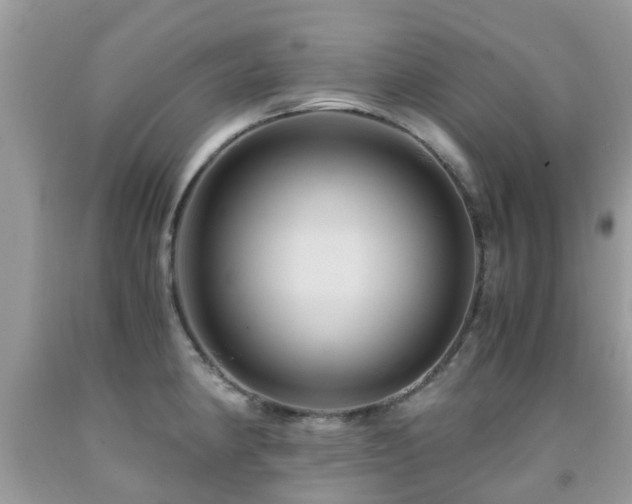 X0000092001190200709061432