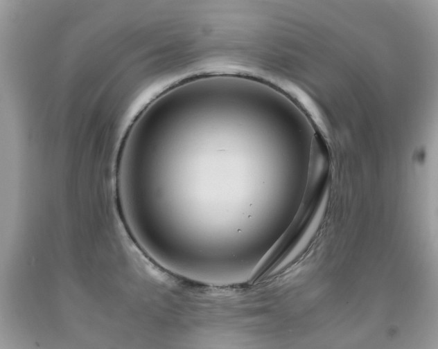 X0000092001191200709061432