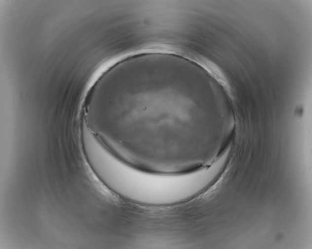 X0000092001192200709061432