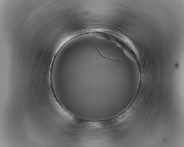 X0000092001194200709061432