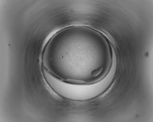 X0000092001196200709061432