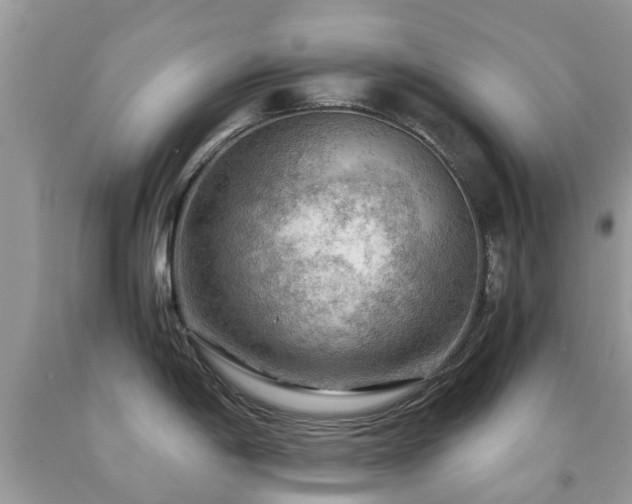 X0000092001198200709061432