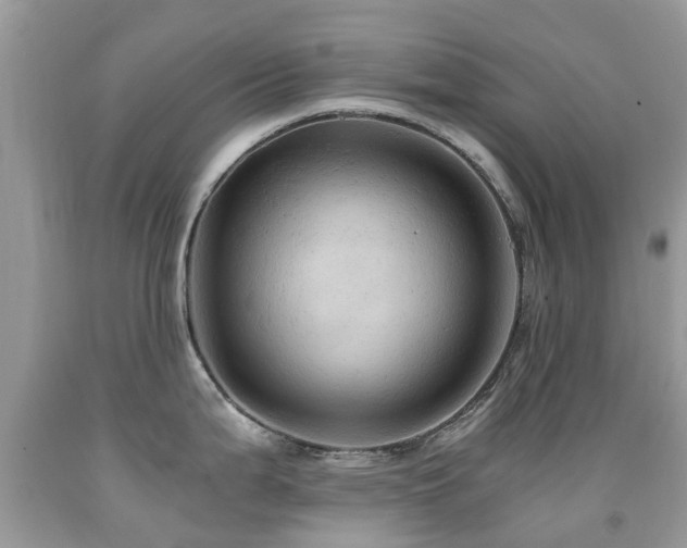 X0000092001199200709061432