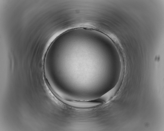 X0000092001200200709061432