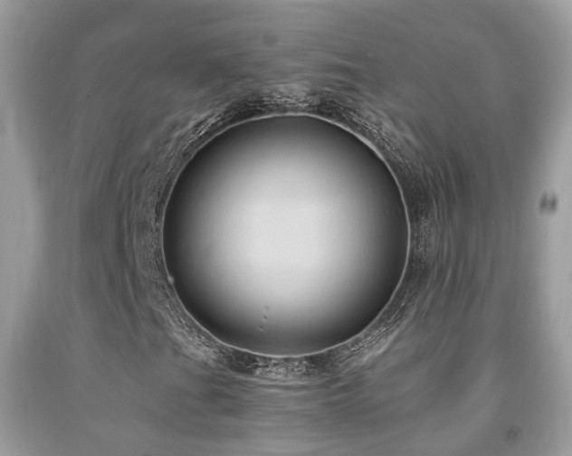 X0000092001201200709061432