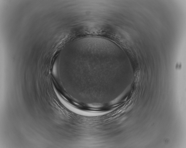 X0000092001202200709061432