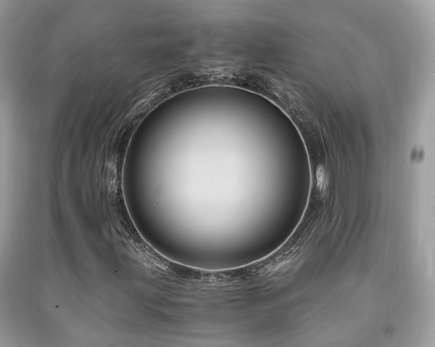 X0000092001203200709061432