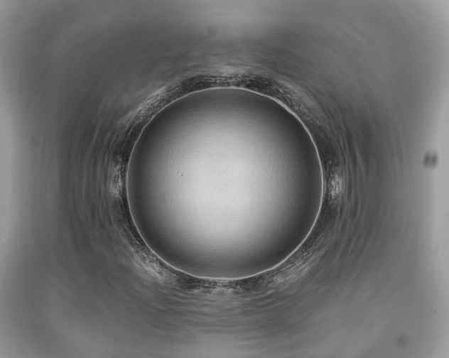 X0000092001204200709061432