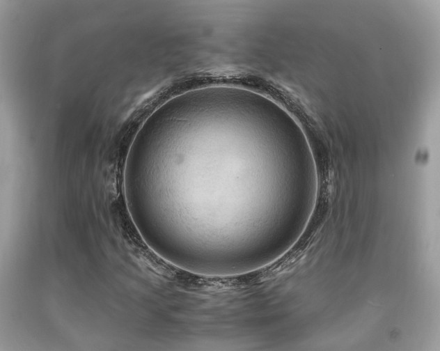 X0000092001205200709061432
