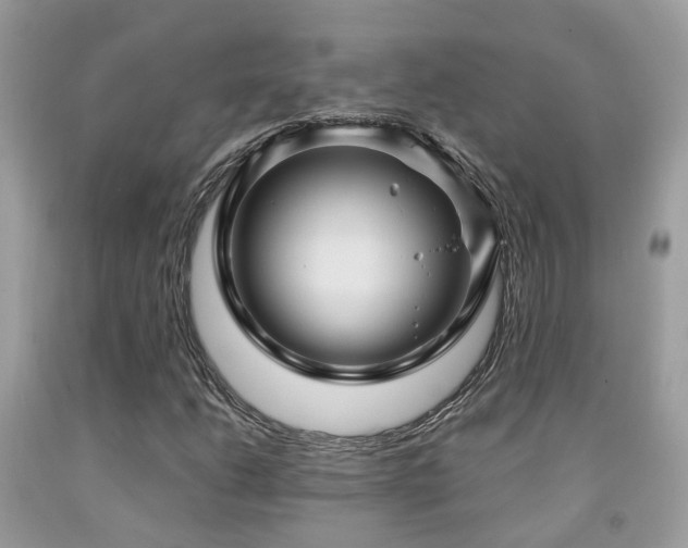 X0000092001206200709061432