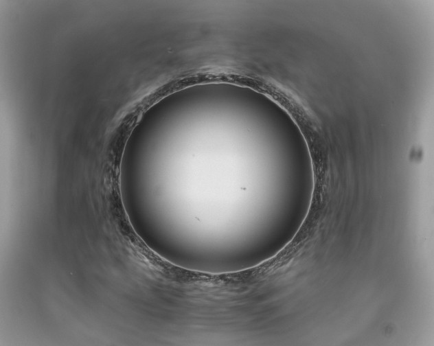 X0000092001207200709061432