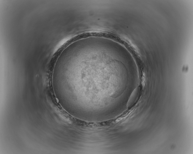 X0000092001208200709061432