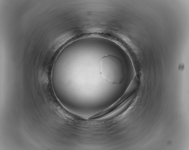 X0000092001209200709061432