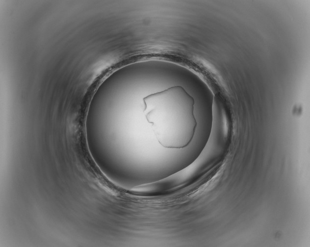X0000092001210200709061432