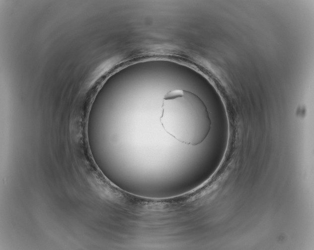 X0000092001211200709061432