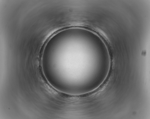 X0000092001212200709061432
