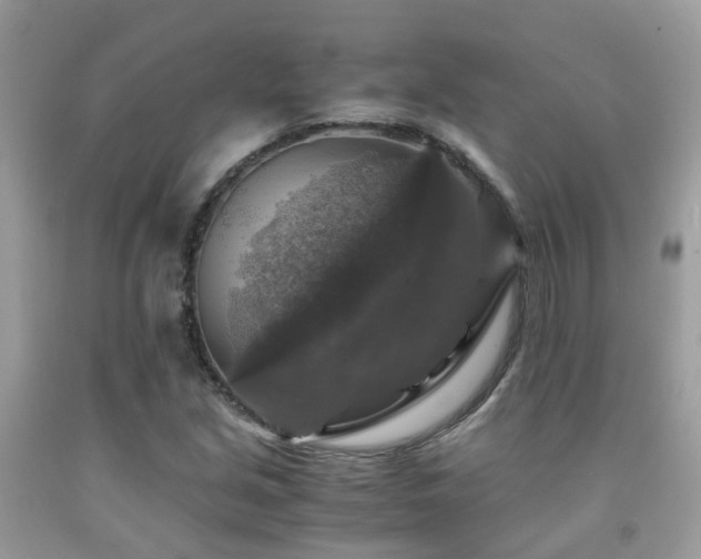 X0000092001213200709061432