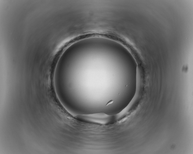 X0000092001214200709061432