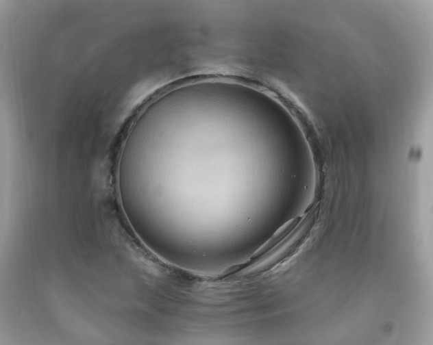 X0000092001215200709061432