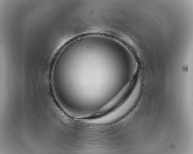 X0000092001216200709061432