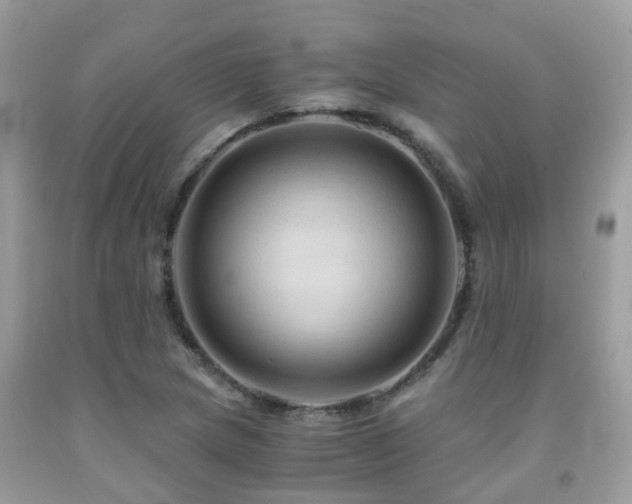 X0000092001217200709061432