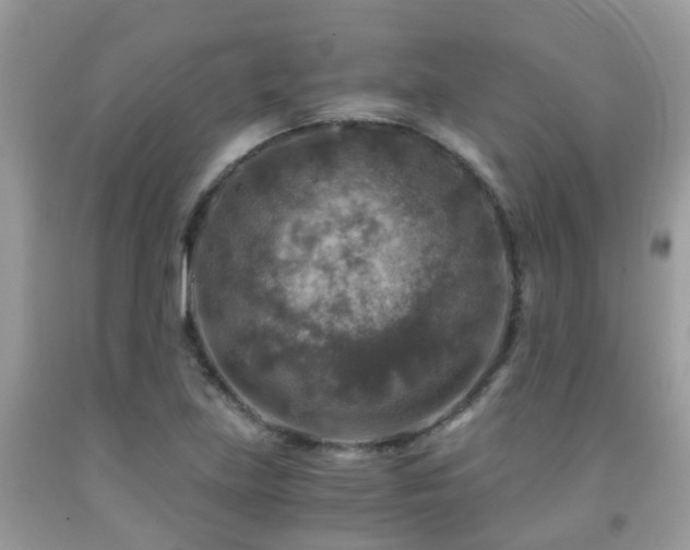 X0000092001219200709061432