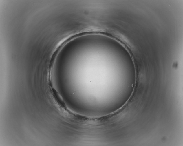 X0000092001220200709061432