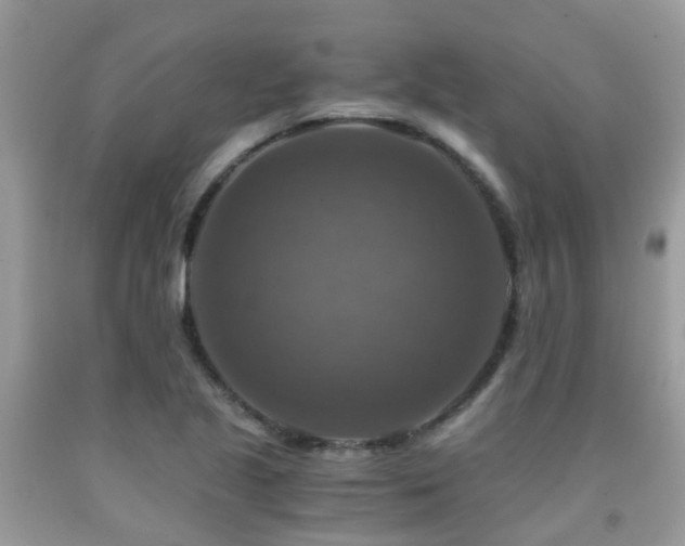 X0000092001221200709061432