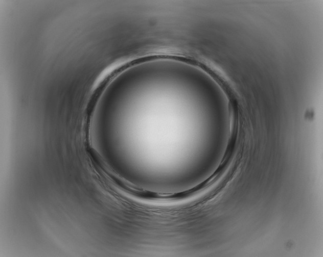 X0000092001222200709061432