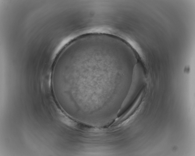 X0000092001224200709061432
