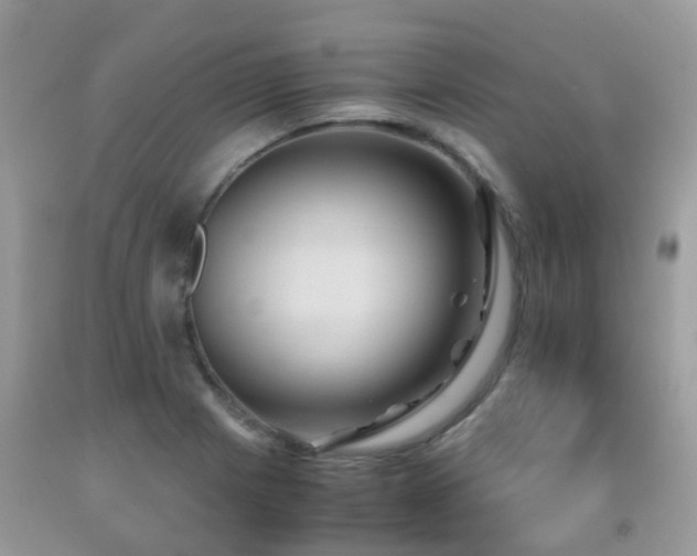 X0000092001225200709061432