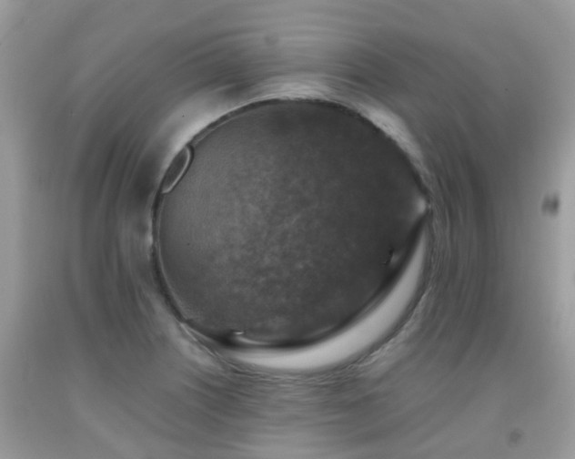 X0000092001226200709061432