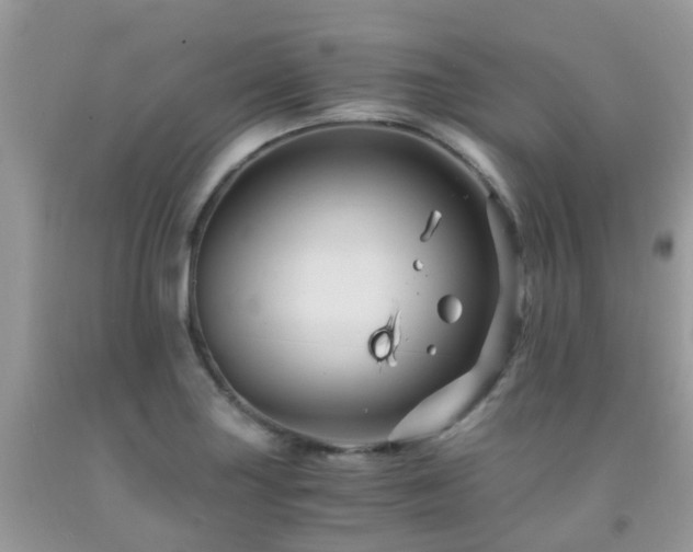 X0000092001227200709061432