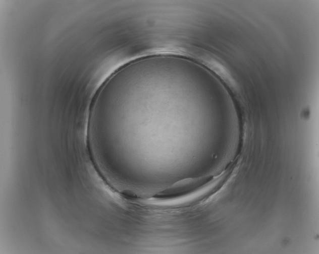 X0000092001228200709061432