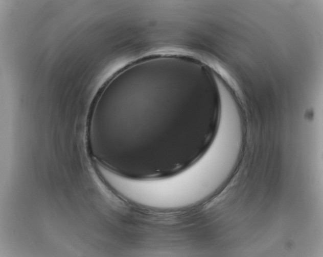 X0000092001229200709061432