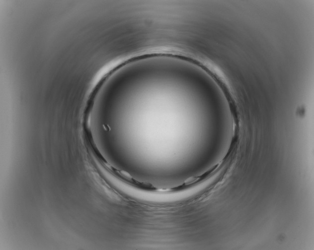 X0000092001230200709061432