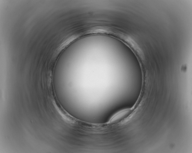 X0000092001233200709061432
